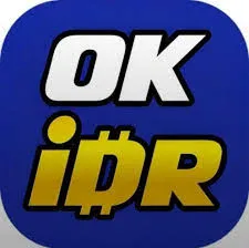OKIDR - Aplikasi Musik Interaktif yang Menggetarkan